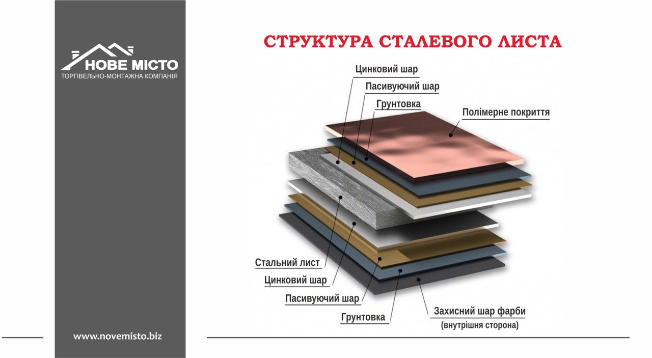 структура стелевого листа