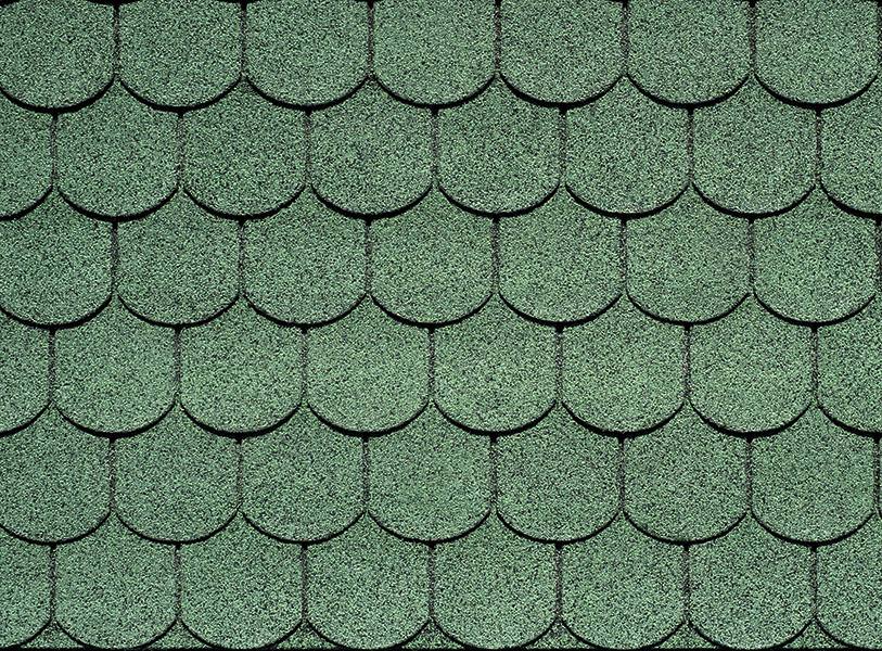https://novemisto.biz/wp-content/uploads/2020/10/04_forest-green-1.jpg
