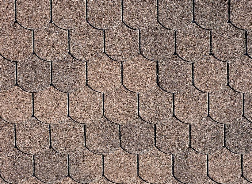 https://novemisto.biz/wp-content/uploads/2020/10/07_dual-brown-1.jpg