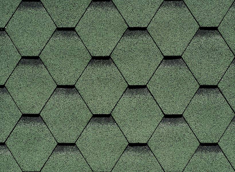 https://novemisto.biz/wp-content/uploads/2020/10/24_forestgreen-ultra.jpg