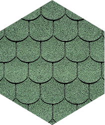 BiberShield