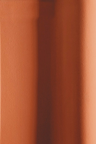 https://novemisto.biz/wp-content/uploads/2020/10/Krasnaya_angobirovannaya.png